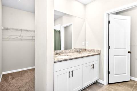 3729 Radiant Mountain Drive, Plant City FL - photo 20 of 38