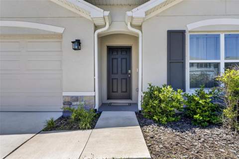3255 Silver Date Drive, Wimauma FL - photo 8 of 80