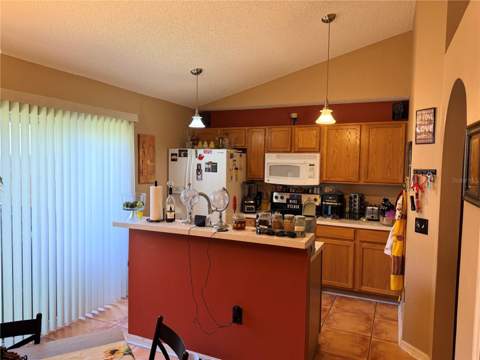 6224 Tabogi Trail, Wesley Chapel FL - photo 6 of 14