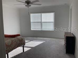 17522 Nectar Flume Drive, Land O Lakes FL - photo 6 of 13
