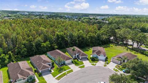 5526 Gallant Fox Court, Wesley Chapel FL - photo 23 of 28