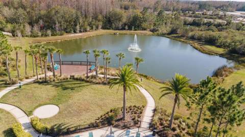 29913 Southwell Lane, Wesley Chapel FL - photo 17 of 19