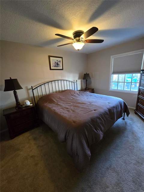 5231 Beach Drive #A, St Petersburg FL - photo 15 of 23