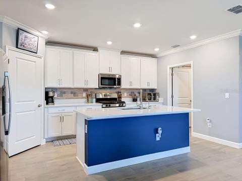 17255 Holly Well Avenue, Wimauma FL - photo 24 of 63