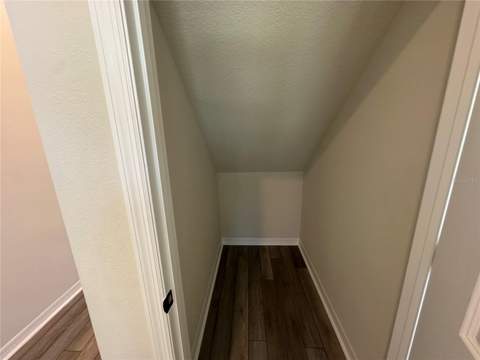 10355 Parkview Reserve Lane, Orlando FL - photo 20 of 61