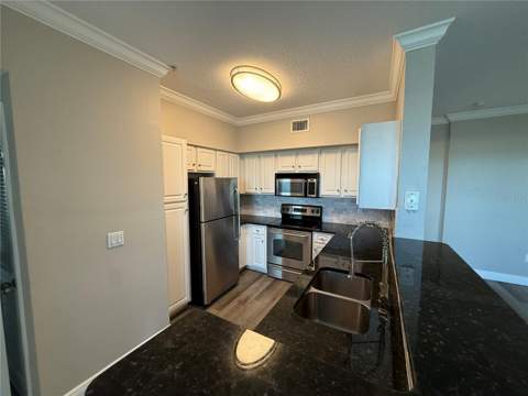 1910 E Palm Avenue #11321, Tampa FL - photo 6 of 6