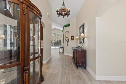 19221 Robin Perch Lane, Tampa FL - photo 6 of 6