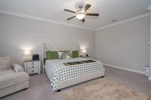 8099 Lago Mist Way, Wesley Chapel FL - photo 19 of 56