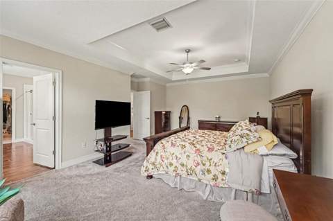 21590 Violet Periwinkle Drive, Land O Lakes FL - photo 23 of 50