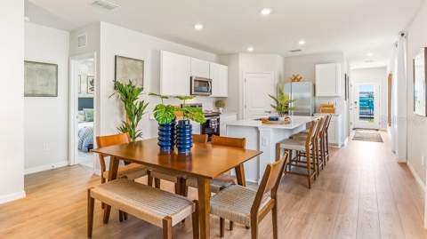 18113 Gander Terrace, Lakewood Ranch FL - photo 7 of 43