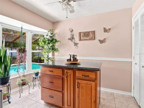 4382 Montano Avenue, Spring Hill FL - photo 14 of 46