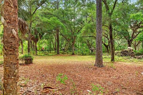 9190 NE 144th Terrace, Silver Springs FL - photo 6 of 6