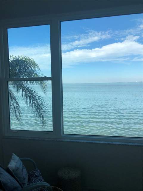 7 Dunoon Place #203, Dunedin FL - photo 6 of 29