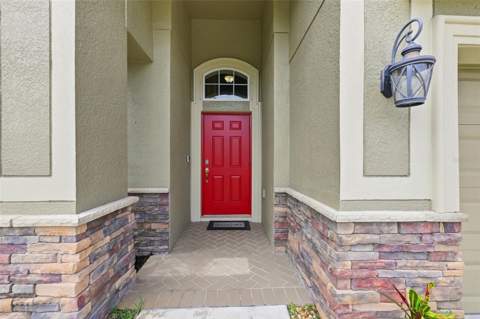 12335 Ballentrae Forest Drive, Riverview FL - photo 6 of 64