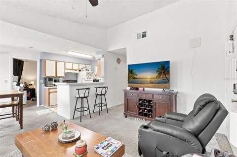 1085 S Hiawassee Road #523, Orlando FL - photo 8 of 28