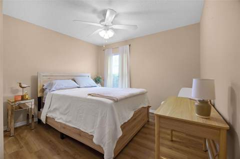 27111 Nostalgia Drive, Leesburg FL - photo 16 of 61