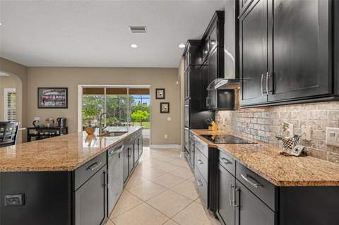 17815 Daisy Farm Drive, Lutz FL - photo 16 of 52