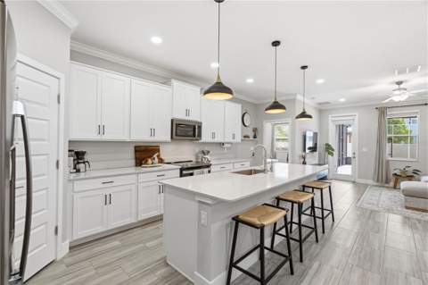 9807 Wild Begonia Loop, Land O Lakes FL - photo 9 of 48