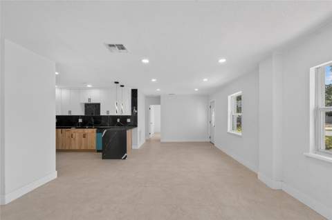 4711 W Lawn Avenue, Tampa FL - photo 13 of 75
