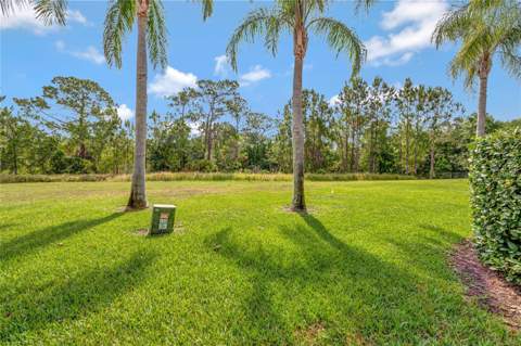3050 White Orchid Road, Kissimmee FL - photo 23 of 65