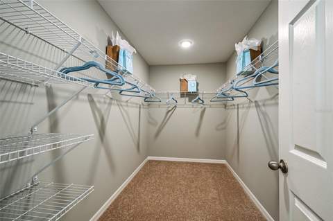 31731 Oyster Trellis Lane, Wesley Chapel FL - photo 8 of 24