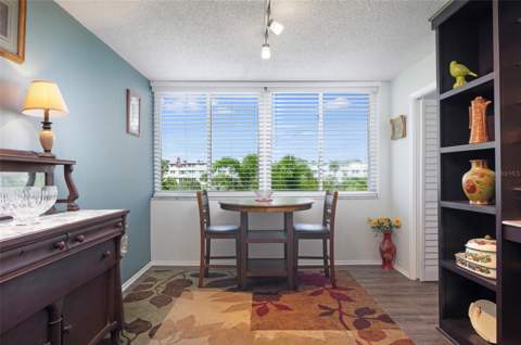 4720 Locust Street #219, St Petersburg FL - photo 18 of 40