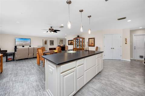 10504 Lacera Drive, Tampa FL - photo 12 of 41