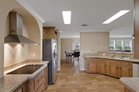 38616 Coleen Avenue, Zephyrhills FL - photo 23 of 67