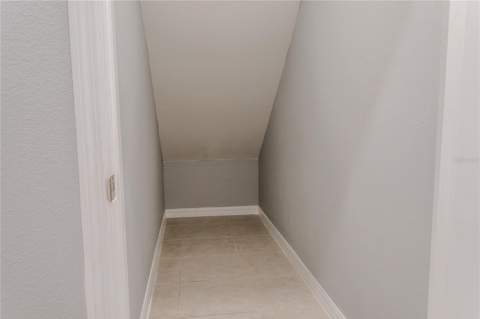 17711 Nectar Flume Drive, Land O Lakes FL - photo 7 of 33