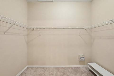 26351 Whirlaway Terrace, Wesley Chapel FL - photo 20 of 43