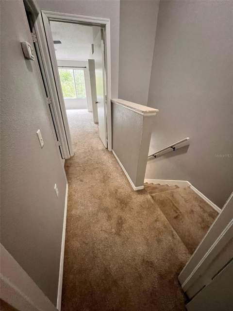 8674 Hunters Key Circle, Tampa FL - photo 9 of 16