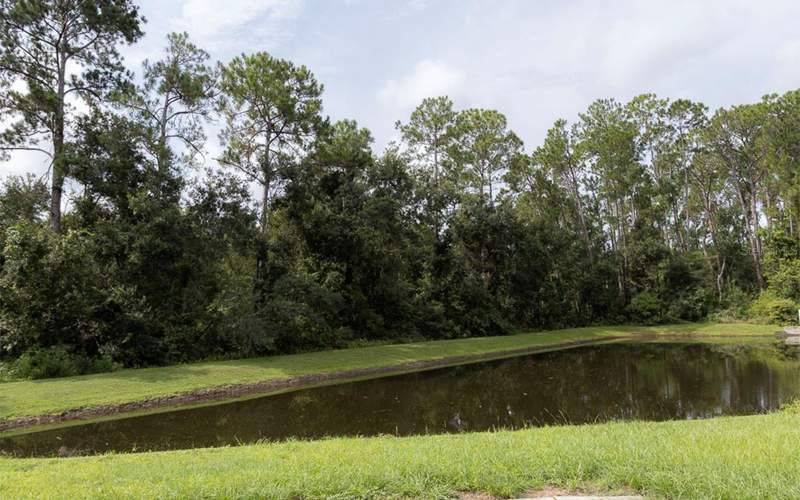 3 bedroom Single Family Residence at 6529 Tabogi Trail, Chapel Pines Ph 03, Wesley Chapel — photo 4
