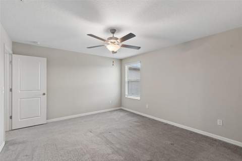 3715 Daisy Bloom Place, Tampa FL - photo 21 of 81