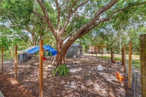 2065 Mustang Court, St Cloud FL - photo 24 of 67