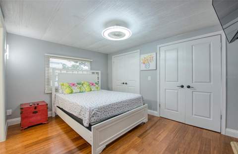 407 Dolphin Drive, Oldsmar FL - photo 19 of 34