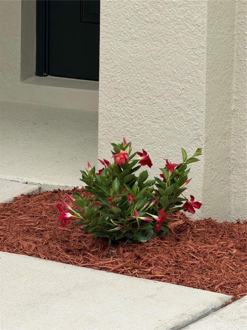 4 bedroom Single Family Residence at 16491 Glassy Loch Loop, Greater Lakes Ph 4, Clermont — photo 2