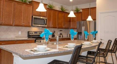 8879 Geneve Court, Kissimmee FL - photo 6 of 43