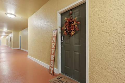 4207 S Dale Mabry Highway #6110, Tampa FL - photo 20 of 25