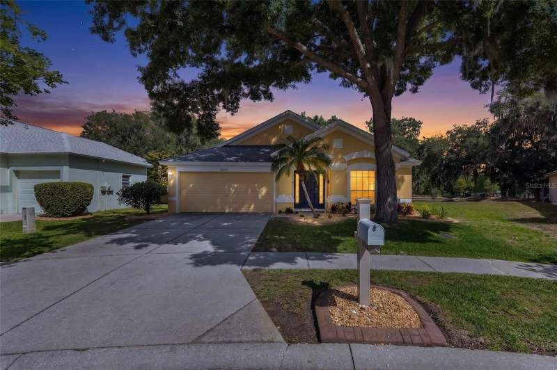 Meadow Pointe Homes for Sale in Wesley Chapel, FL