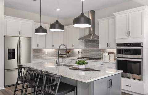 10049 Trellis Vine Way, Parrish FL - photo 6 of 30