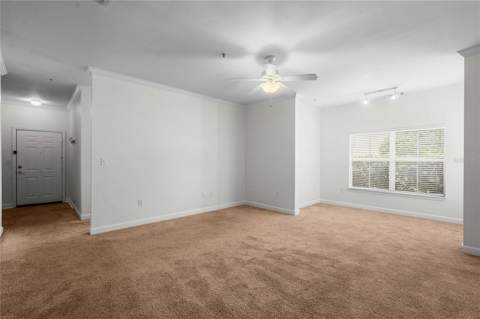 18525 Bridle Club Drive #18525, Tampa FL - photo 10 of 38