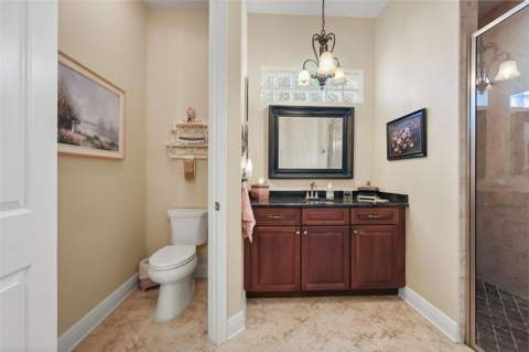 29925 Cypress Pointe, Tavares FL - photo 24 of 50