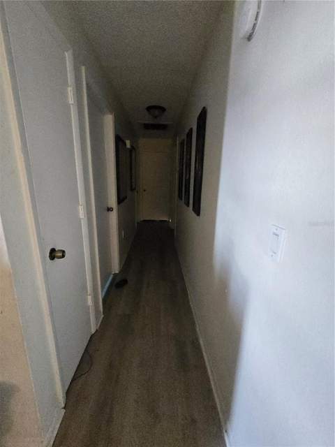 310 Ogden Street, Winter Haven FL - photo 7 of 8