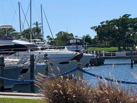 2800 Harbourside Drive Drive #M-10, Longboat Key FL - photo 10 of 20