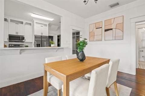 102 W North Street, Tampa FL - photo 10 of 45