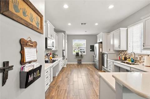 18756 Burndall Court, Land O Lakes FL - photo 11 of 35