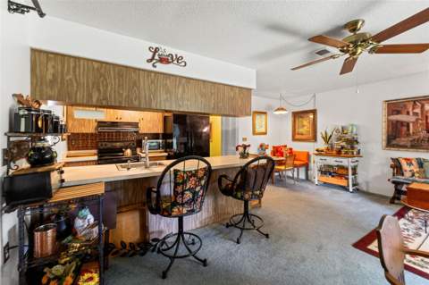 10541 Green Meadow Lane, Port Richey FL - photo 14 of 48