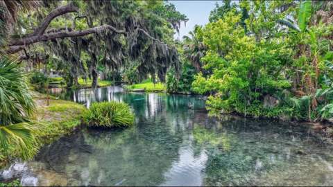 22 E Bay Avenue, Yalaha FL - photo 14 of 19