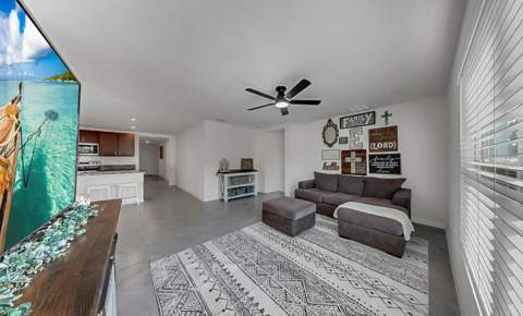 3281 Silver Date Drive, Wimauma FL - photo 9 of 51