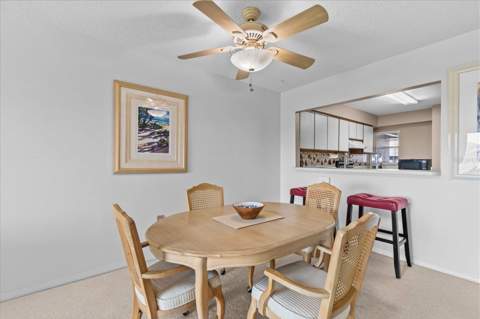 5537 Sea Forest Drive #307, New Port Richey FL - photo 13 of 43